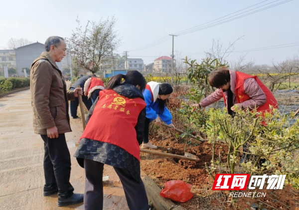 双峰县农机事务中心干部职工在结对帮扶村三塘铺镇相思村开展义务植树活动。