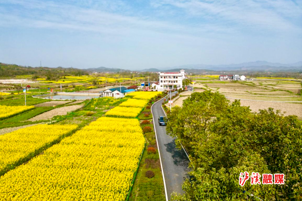 图为C091线浦市镇五果溜村