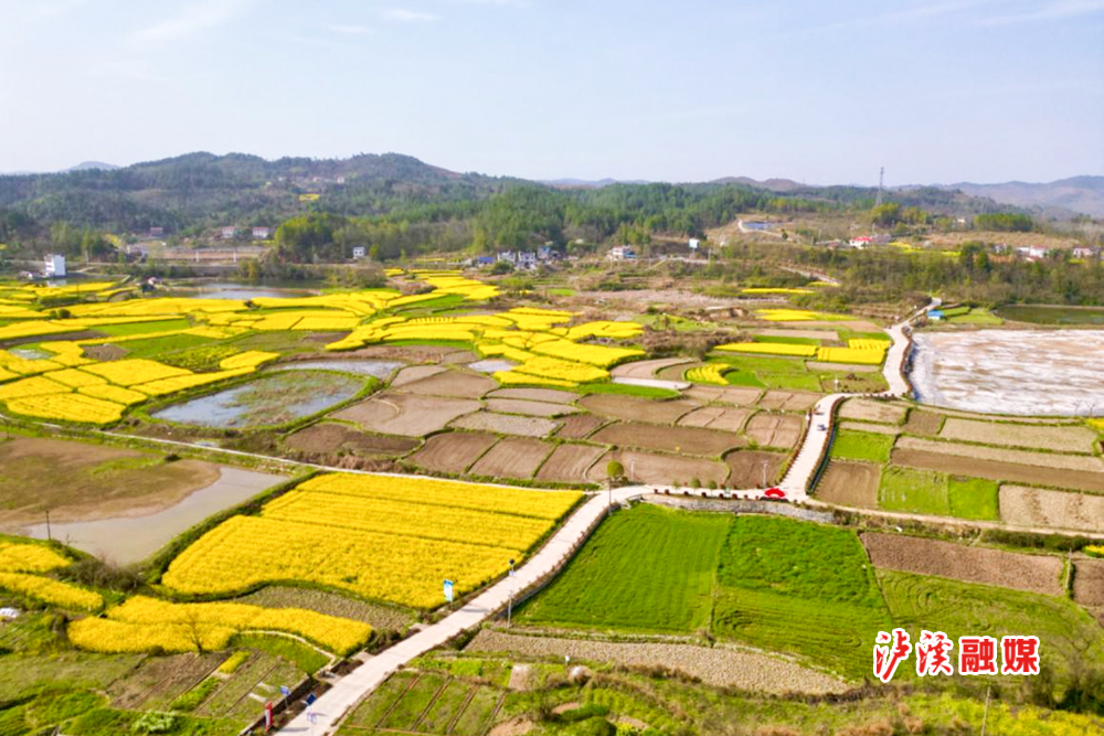图为C091线浦市镇五果溜村