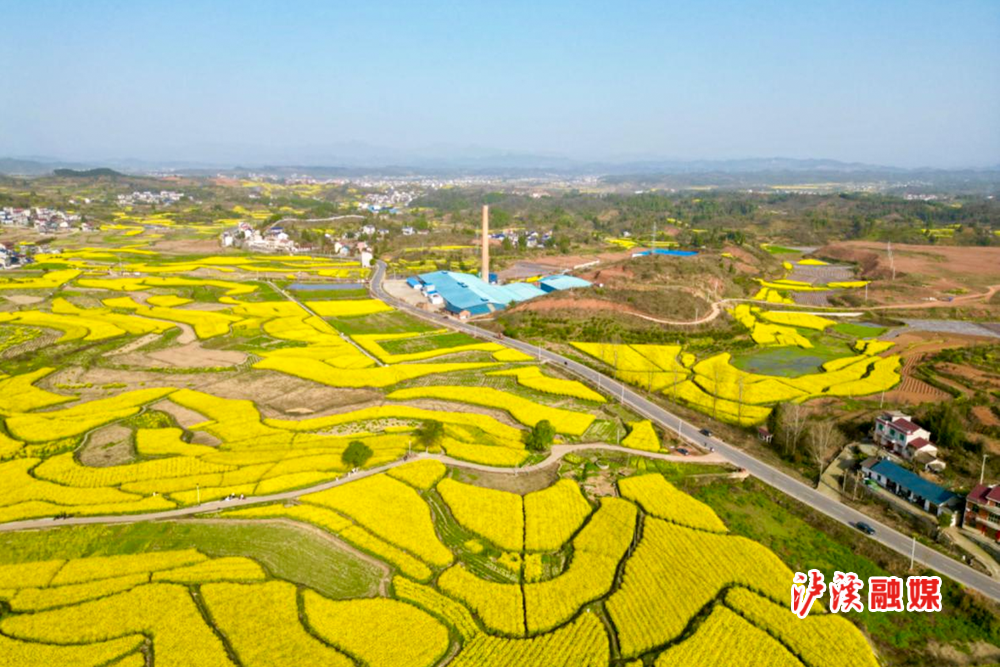 图为浦市镇新堡村