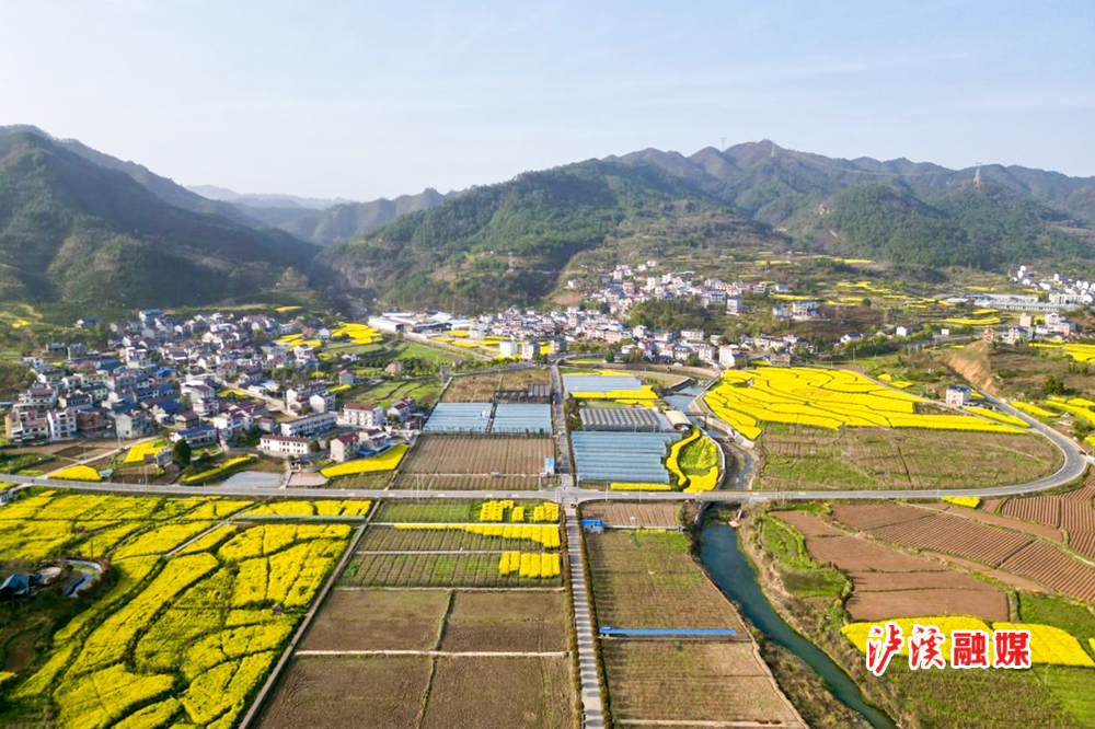 图为Y114乡道浦市镇马王溪村