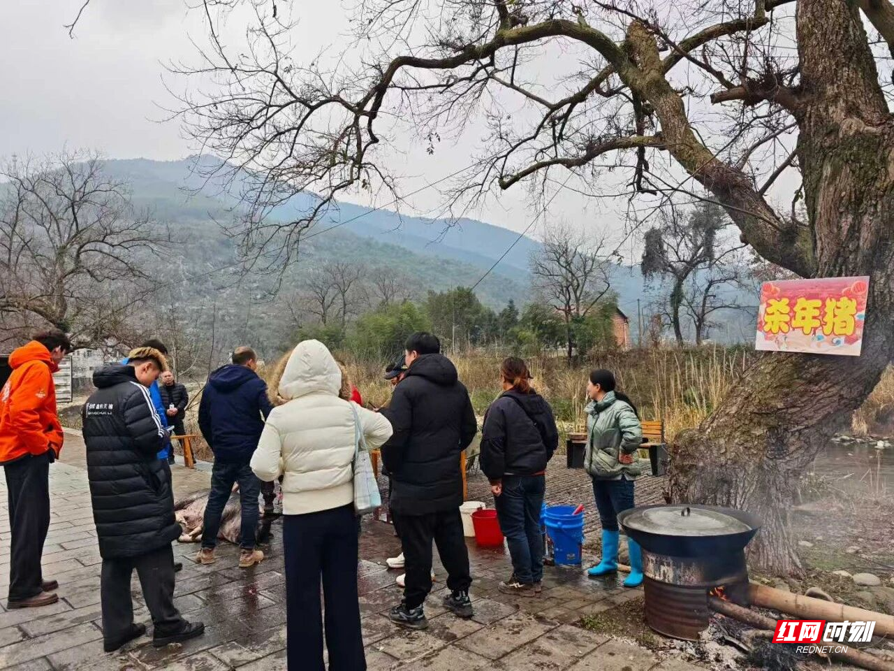 1月25日上午,永州零陵周家大院景区年味正浓,“观冠军赛事,品零陵年味”活动火热开启。书法名家现场挥毫送春联,传统“杀年猪”仪式与共享“杀猪饭”让游客亲身感受零陵地道年俗;非遗市集里竹编、剪纸、打糍粑等技艺与美食吸引众人驻足体验,浓浓乡土情扑面而来。午间,“柳子家宴”以地道家乡味款待宾朋,席间零陵特色文艺表演更添温馨团圆氛围。午后田园拾趣、夜晚篝火村晚等更多精彩将继续上演……