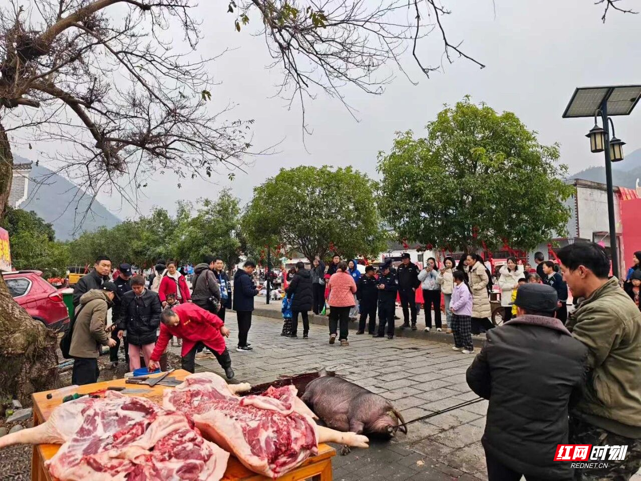 1月25日上午,永州零陵周家大院景区年味正浓,“观冠军赛事,品零陵年味”活动火热开启。书法名家现场挥毫送春联,传统“杀年猪”仪式与共享“杀猪饭”让游客亲身感受零陵地道年俗;非遗市集里竹编、剪纸、打糍粑等技艺与美食吸引众人驻足体验,浓浓乡土情扑面而来。午间,“柳子家宴”以地道家乡味款待宾朋,席间零陵特色文艺表演更添温馨团圆氛围。午后田园拾趣、夜晚篝火村晚等更多精彩将继续上演……