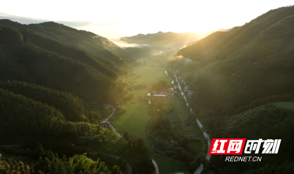 DJI_0233.JPG DJI_0233.JPG