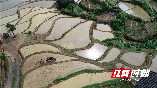 江永县千家峒瑶族乡图片