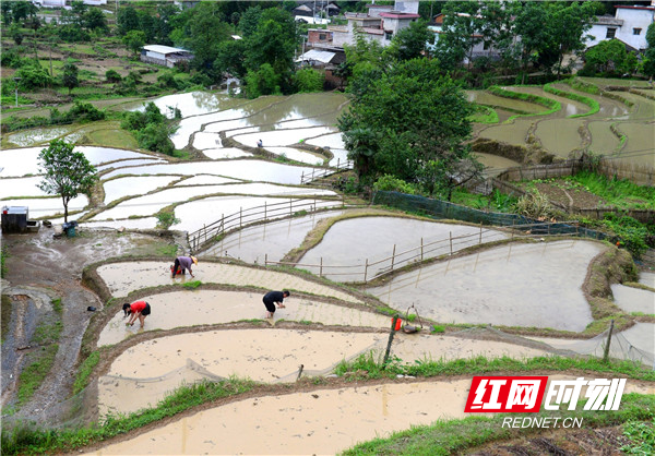 江永县千家峒瑶族乡图片