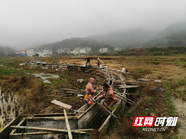 城步：与寒潮赛跑追赶工期 推进高标准农田建设.jpg