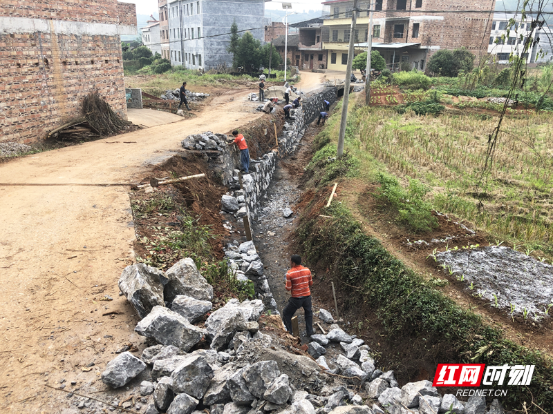 镇兴村进村道路扩宽施工中图片.png