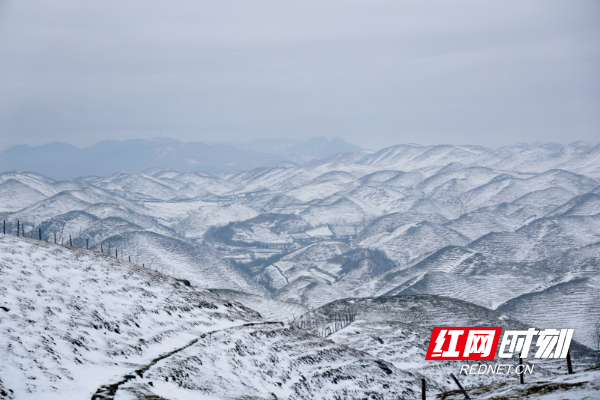 雪满南山云雾绕 满树银花映苍岭1.jpg