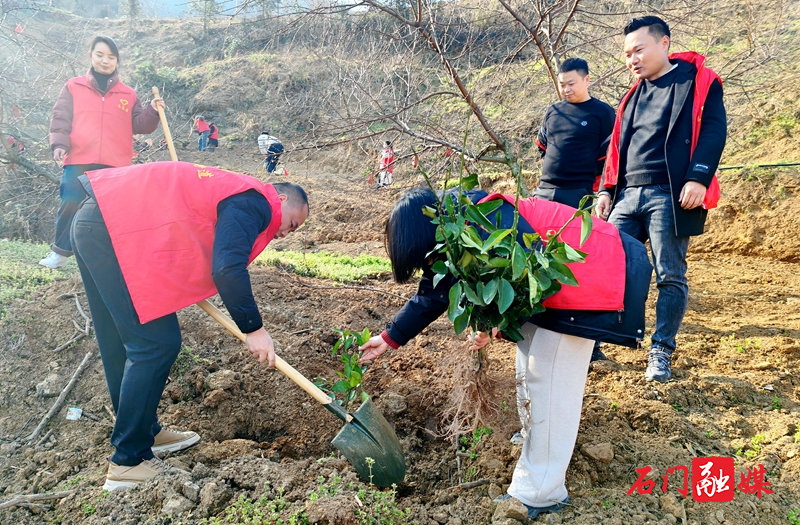 二都街道：构建绿色生态屏障，科学开展植树造林2.jpg