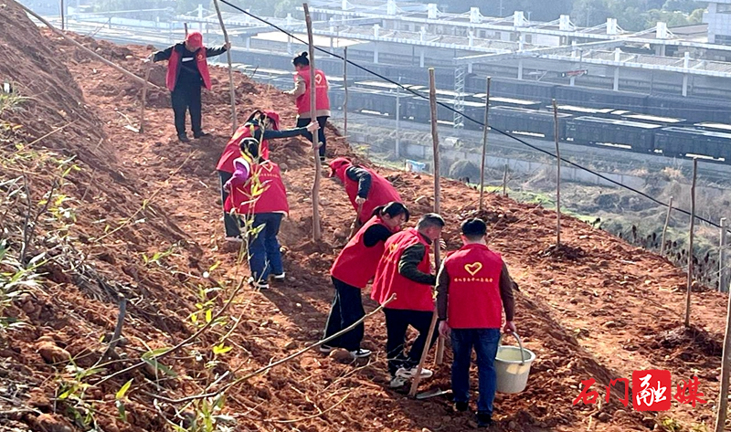 春风催新绿 植树正当时