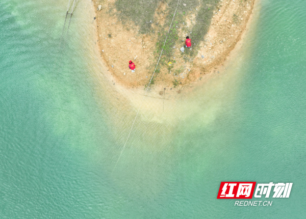 3月22日，在湖南省永州市道县寿雁镇乐海水库，党员志愿者在清理岸边垃圾 (1).jpg