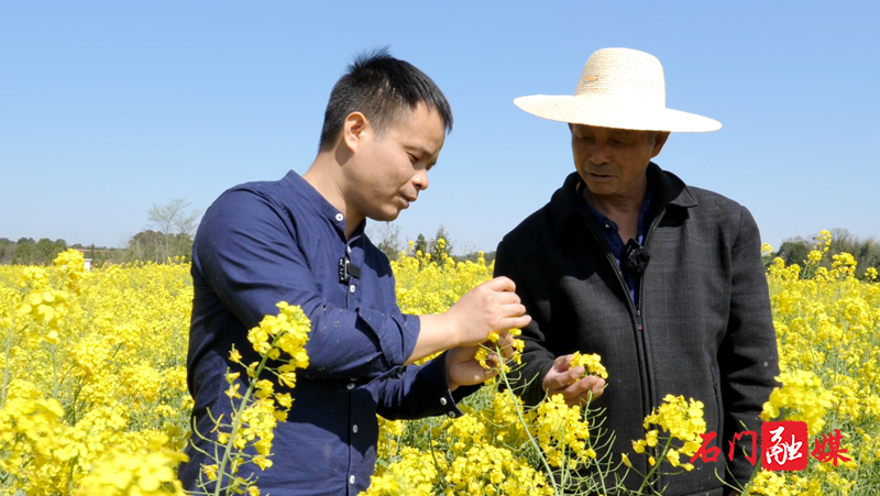 种粮大户吴志国:永远放不下这片土地6.png 种粮大户吴志国:永远放不下这片土地6.png