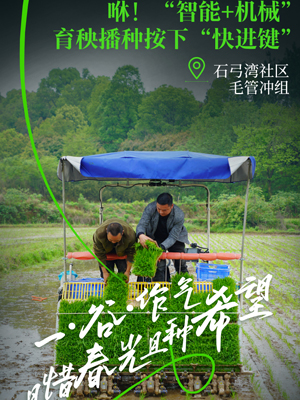 5年数量增长超80% 湖南省级及以上孵化器培育结硕果