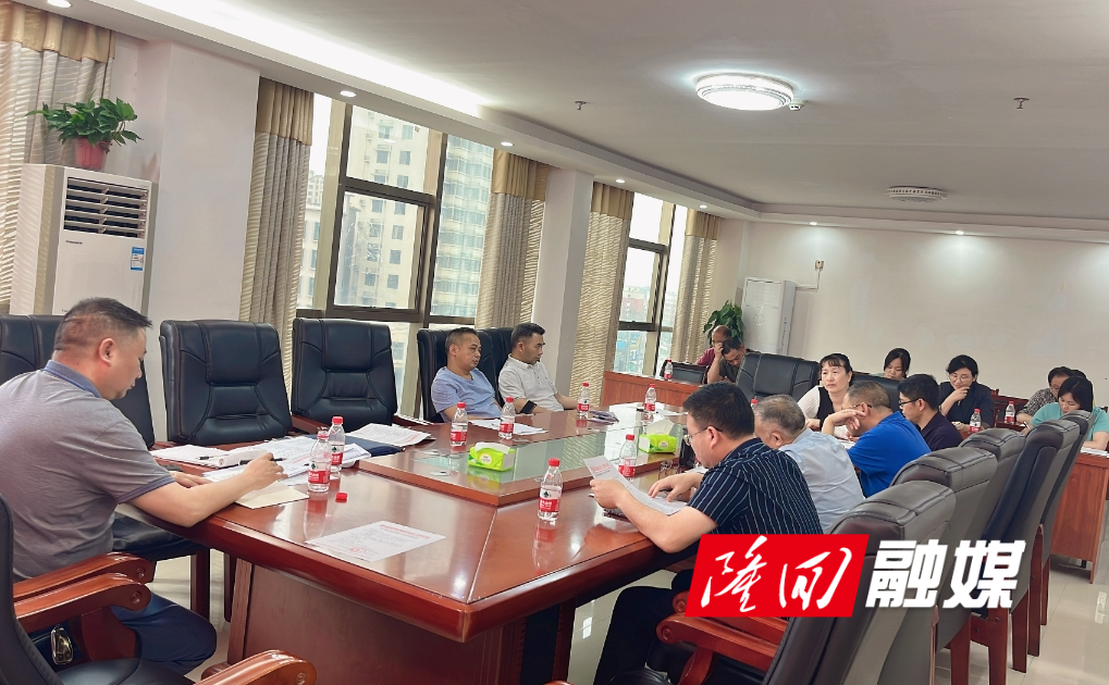 隆回县召开健康促进县建设专家讨论会(图1)
