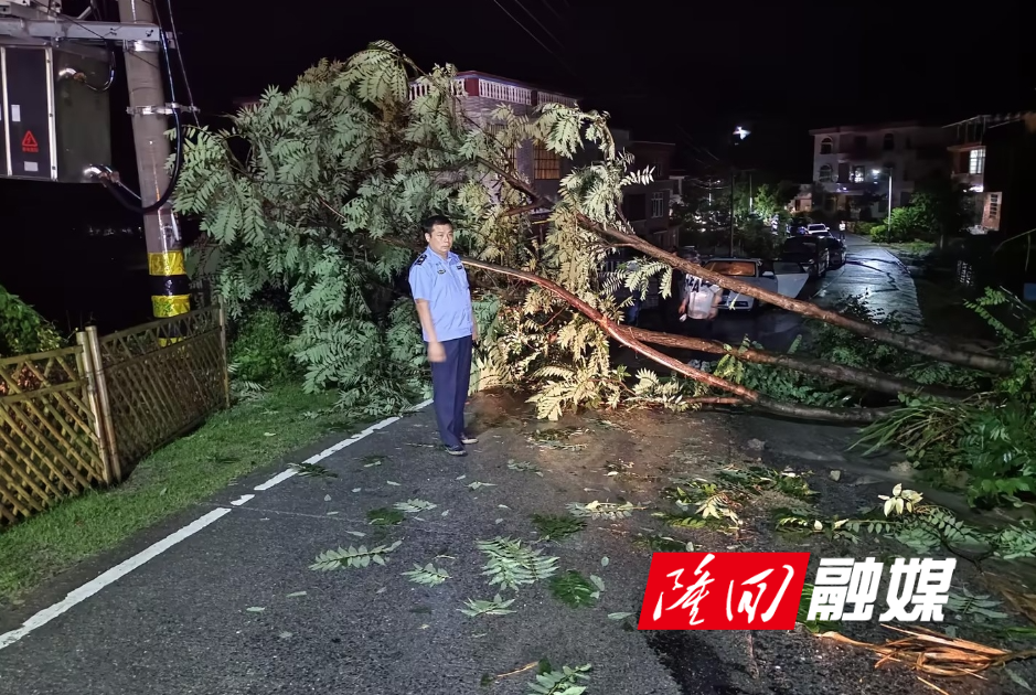 S332线发生山体滑坡 隆回县交通运输综合行政执法大队迅速抢通(图1)