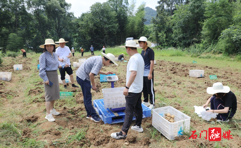 变污为肥、绿色种养,石门携手中科院“闯关”生态种粮“新赛道”1.jpg 变污为肥、绿色种养,石门携手中科院“闯关”生态种粮“新赛道”1.jpg
