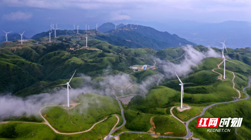 85.《草山风电群》 姚树林_副本.jpg