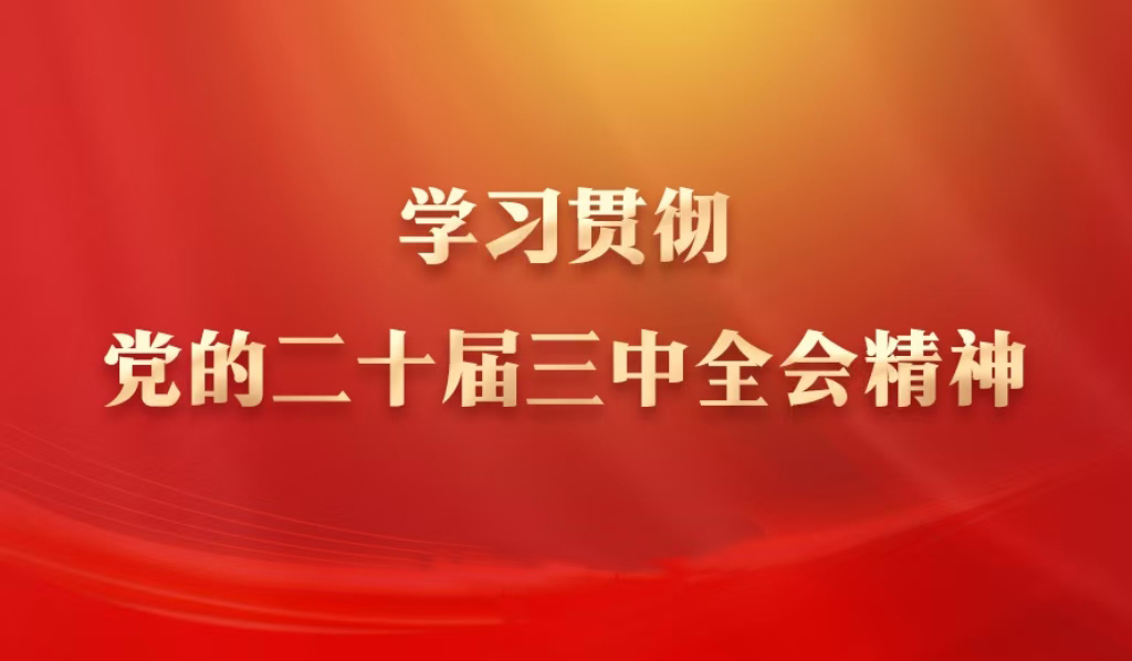 专题 | 学习贯彻党的二十届三中全会精神