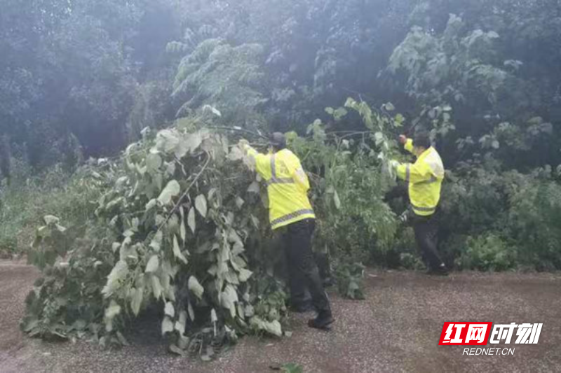 嘉禾：积极应对 做好汛期交通保障