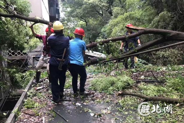 微信截图_20240823090950.png