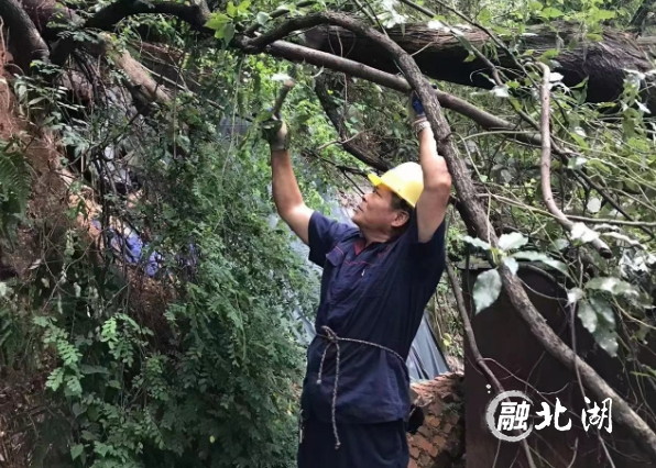微信截图_20240823091232.png