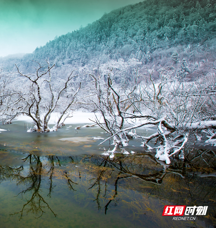 优秀奖《尼尔湖在冬季》作者：龚玉树