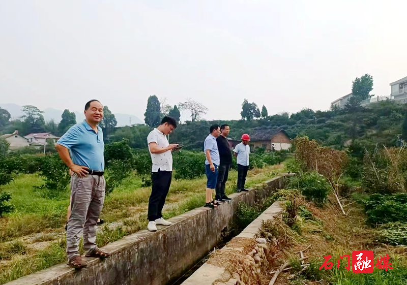 皂市镇:深入一线,全力推进耕地恢复工作1.jpg 皂市镇:深入一线,全力推进耕地恢复工作1.jpg