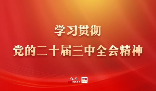 学习贯彻党的二十届三中全会精神