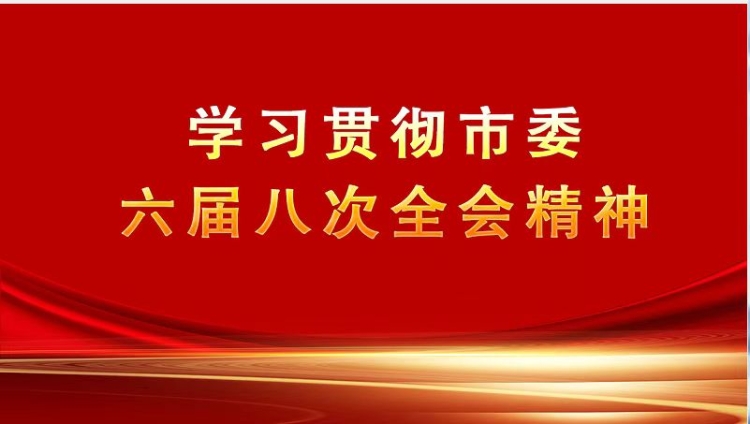 学习贯彻市委六届八次全会精神