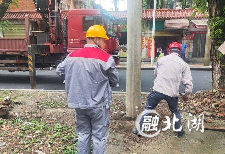 微信截图_20241016082639.png