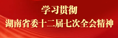 学习湖南省委十二届七次全会精神