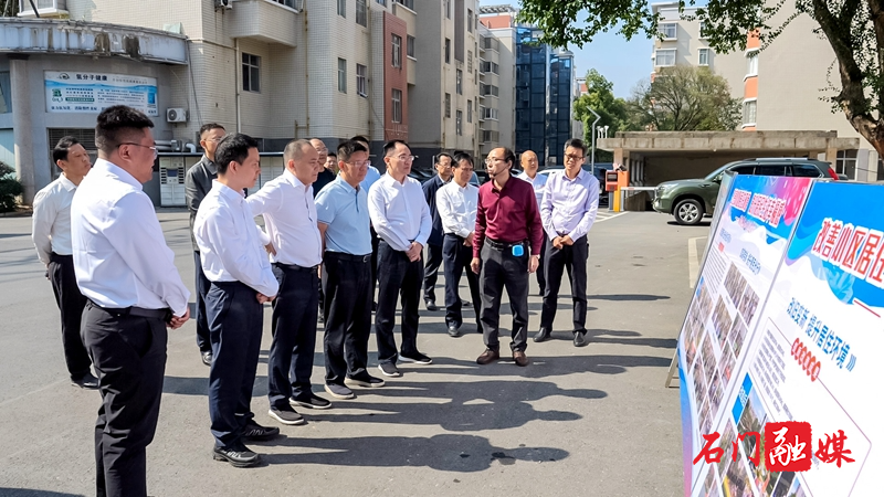 市人大常委会视察组来石视察重点民生实事项目实施情况2.jpg 市人大常委会视察组来石视察重点民生实事项目实施情况2.jpg
