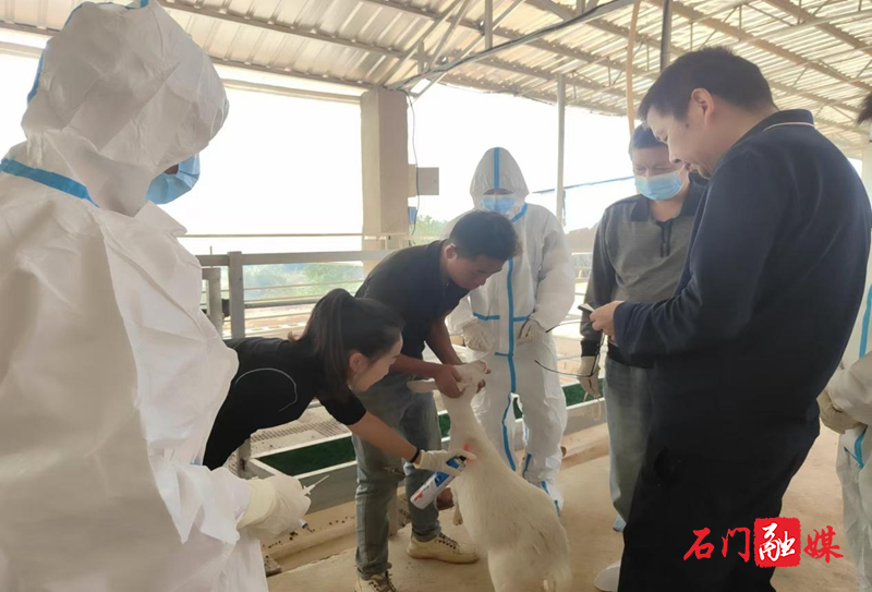 蒙泉镇：打好秋季“预防针”筑牢畜牧“防疫网”1.jpg