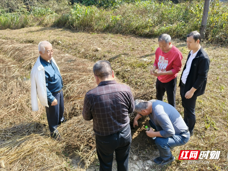 西瑶乡人大 代表助力永久基本农田图斑整改，守护耕地红线图片1.png