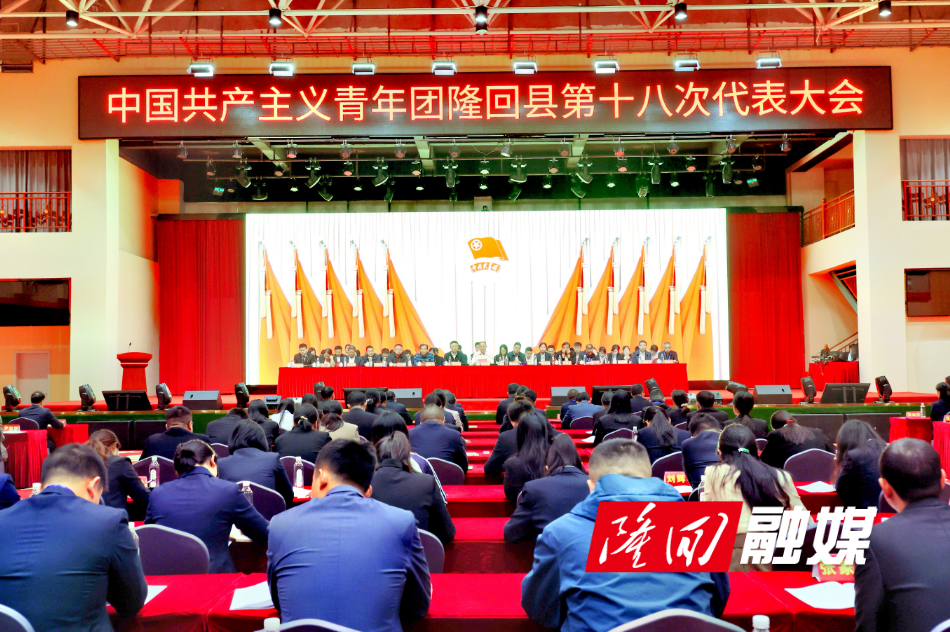 共青团隆回县第十八次代表大会召开(图1)