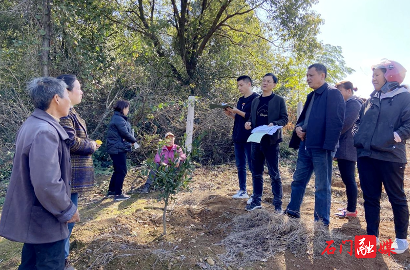 二都街道：站所积极作为，化解群众山林界址纠纷1.jpg
