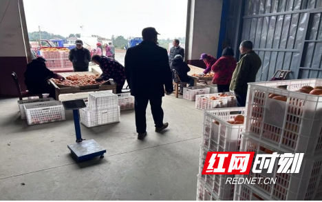 微信截图_20241209160825.png