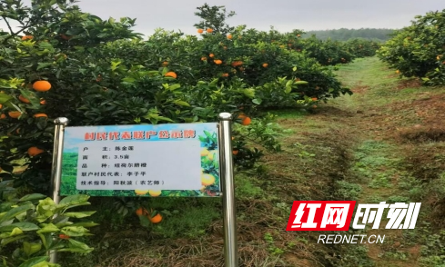 微信截图_20241209160906.png