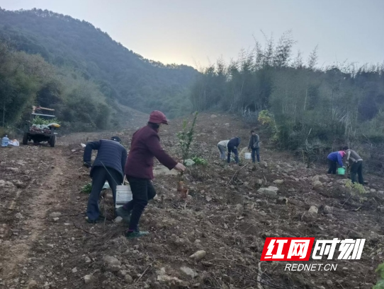微信截图_20241210155625.png