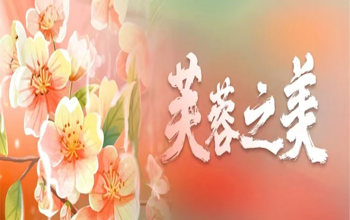 专题｜芙蓉之美