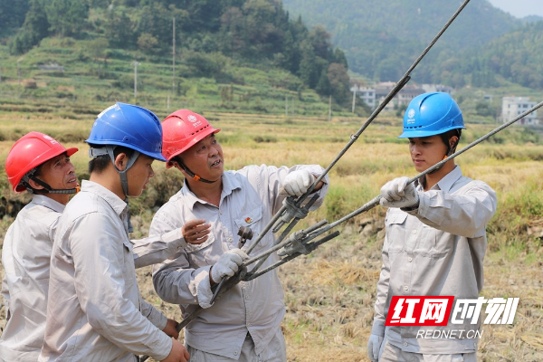 配电运检人员在消除电力线路拉线安全隐患。（摄影：谢丽英）.jpg