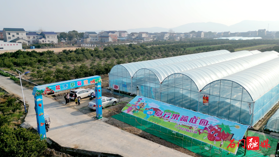 冬季草莓上市 “采摘经济”红火1.png 冬季草莓上市 “采摘经济”红火1.png