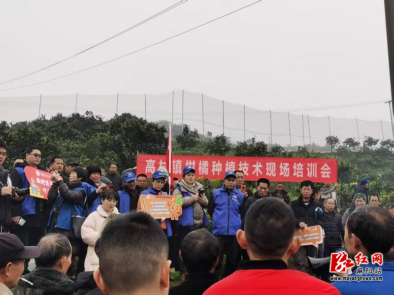 微信图片_20250226111535.jpg