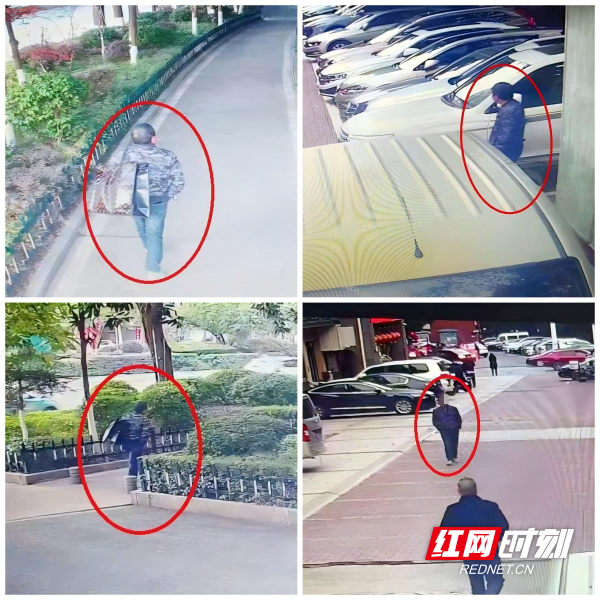 监控画面.jpg