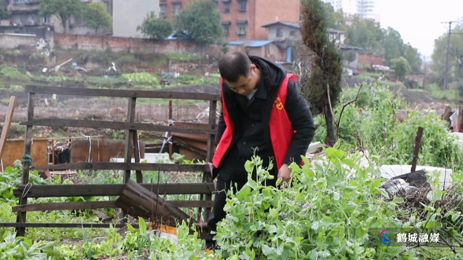 城中街道梨园路社区在辖区开展禁种铲毒踏查活动.mp4_000006.786.jpg