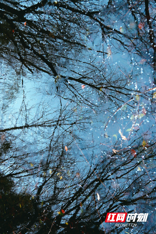 E4B0F2F4F0D6FCA22EF40E5FBA294B0E.jpg