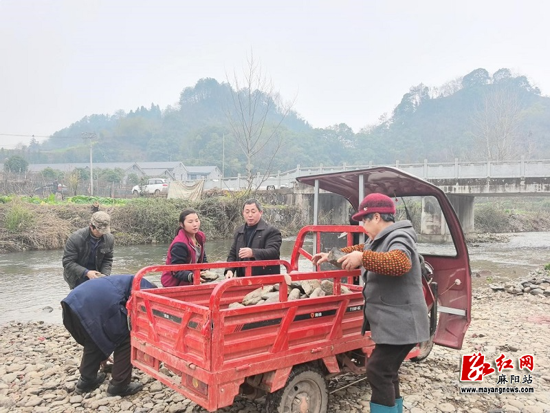 微信图片_20250307164801.jpg