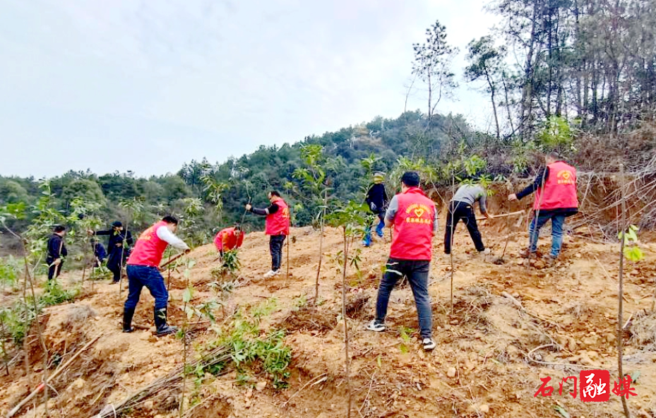 蒙泉镇：义务植树添翠影，共绘生态新美景1.jpg
