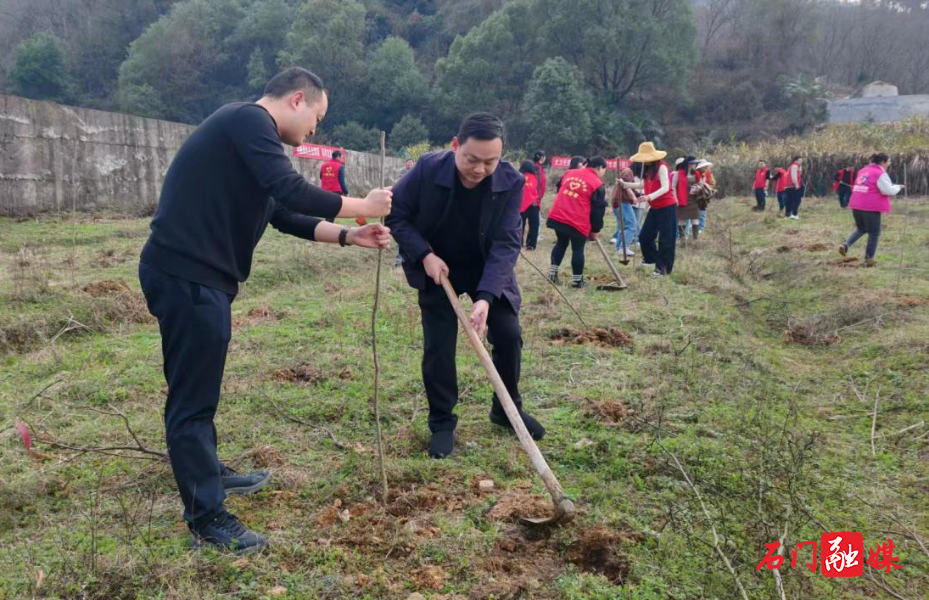 二都街道：共建绿色家园 助力乡村振兴1.jpg